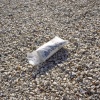 Morning Paper