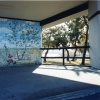Tree Painting