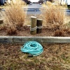 Garden Hose