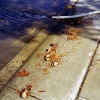 Street Water