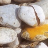 Egg Rock