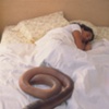 Bed Worm