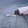 Aftermath 1