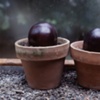Pots