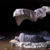 Shelter