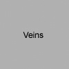 Veins (2003-05)