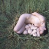 Nest