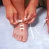 Meat Feet