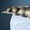 'Spalted Legume'