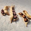 Bean Pods