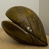 'Wavy Pod'