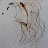 Untitled Drawing (Wave)