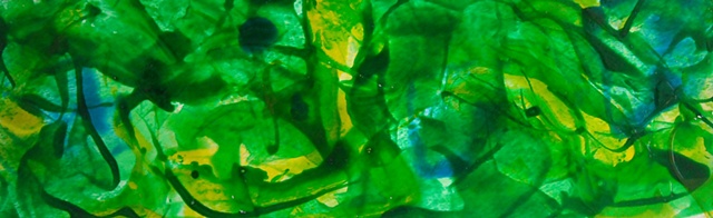Green Study II
