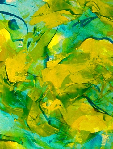 Yellow Pond Lilies I