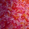 Les Fleurs 