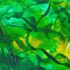 Green Study I