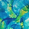 Blue Study II