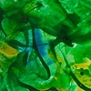 Green Study II