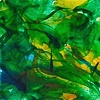 Green Study III