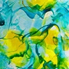 Yellow Pond Lilies III