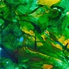 Green Study III