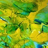 Yellow Pond Lilies II
