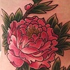 shelly's peonies
