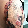 andrew's koi sleeve