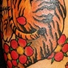 chris's tiger 2
