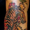 chris's tiger 1

