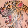 patrick's tiger sleeve