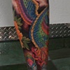 ryans phoenix 2