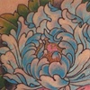 peony