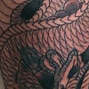 dragon coverup
