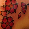 lindsays arm