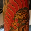 pat's arm 3