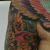 phoenix chestplate 2