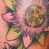 passion flower