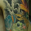 tony's toad and scorp