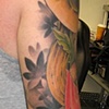 buckeyes sleeve 2