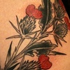 thistle