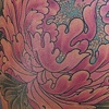 yesenia's peony