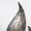 Catalyst Award