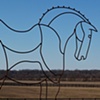 2010 Big Horses