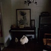 los angeles bungalow