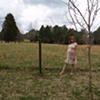 amanda pregnant in lace dress