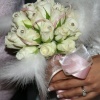 Weddings