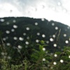 Destination:::Wonderland