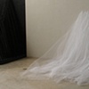 Halter and Net