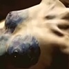 WWW.JUSTINEARTIST.COM 
